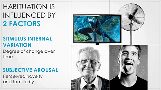 Habituation is influenced by 2 factors