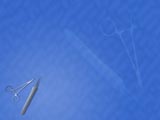 Free PowerPoint Templates