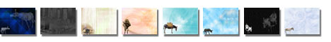 Free Donkey PowerPoint Templates