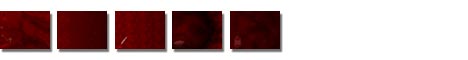 Free Blood PowerPoint Templates