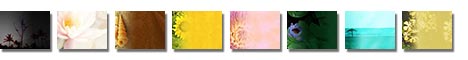 Free Picture Toon PowerPoint Templates