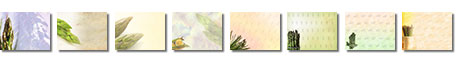Free Asparagus PowerPoint Templates