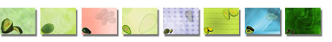Free Avocado PowerPoint Templates