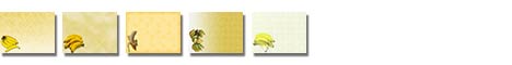 Free Banana PowerPoint Templates