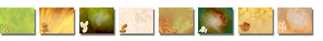 Free PowerPoint Templates - Dry Fruits