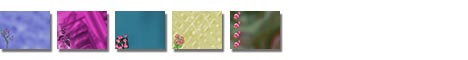 Free Sweet Pea PowerPoint Templates