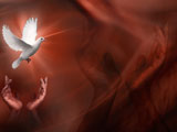 Peace PowerPoint Templates and Themes