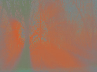 Color - NagativePrint