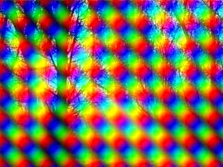 Dots - Dotted