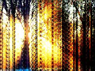 Noise - ColorGrain
