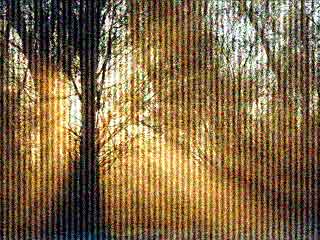 Noise - GrainedLines