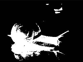 Threshold - BW