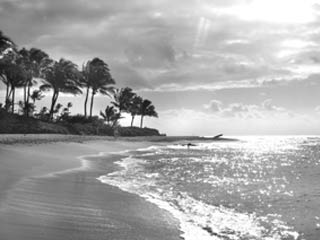 Color - Grayscale
