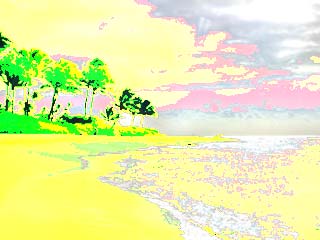 Color - Phasedout