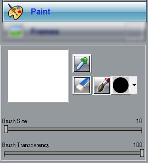 Paint panel tools and parameters