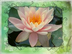 Auto FX Photo/Graphic Edges 7.0 Platinum Edition