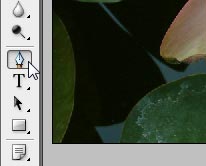 Pen tool 