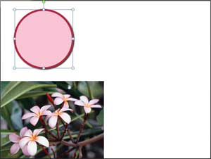 Colors changed for Oval shape 