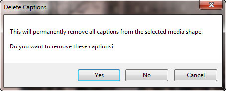 Delete Captions window