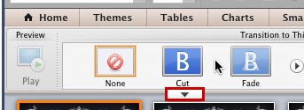More button within the Transition to This Slide group