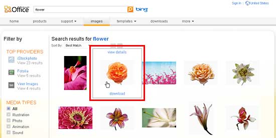 Selected thumbnail shows download link in Mozilla Firefox 