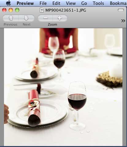 Downloaded clip media opened in Preview image viewer