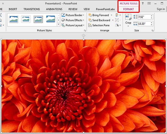 Picture Tools Format tab contextual tab