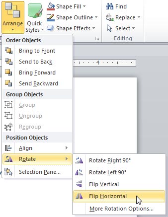 Flip Horizontal option selected