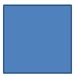 Custom Action Button