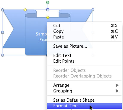 Format Text option selected 
