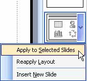 Apply to Selected Slides option