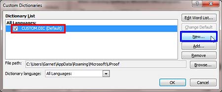 Custom Dictionaries dialog box