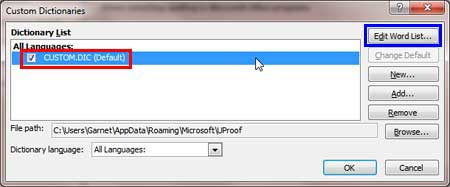 Custom Dictionaries dialog box displaying list of dictionaries 