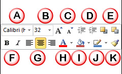 Text formatting options within Mini toolbar
