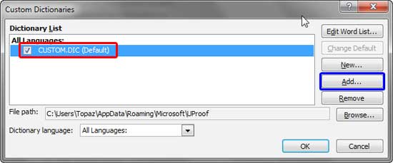 Custom Dictionaries dialog box
