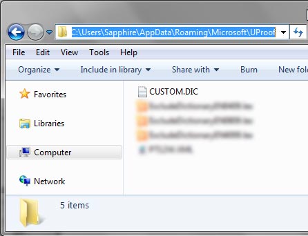Custom dictionary location accessed