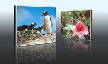 3D Extrude on Photographs