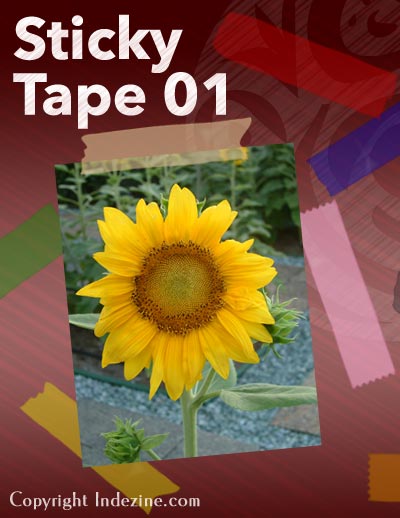 Sticky Tape 01