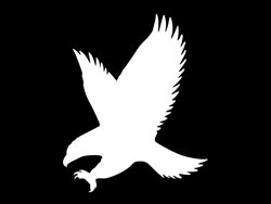 Eagle PowerPoint Silhouettes