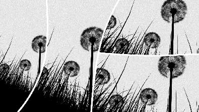 Irregular Shapes for PowerPoint