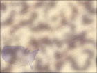 USA PowerPoint Backgrounds