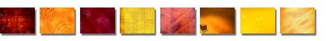 Free Red, Orange, and Yellow Color PowerPoint Backgrounds