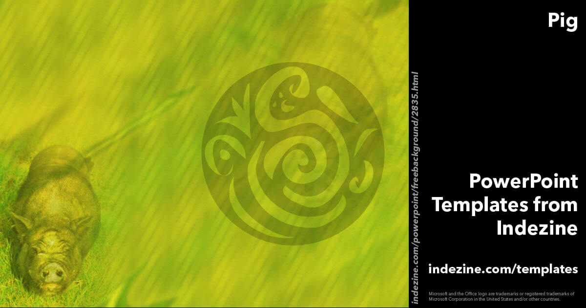 Pig 04 PowerPoint Template
