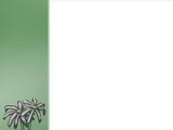 Print Layout PowerPoint Templates