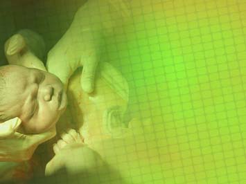 Childbirth Title Content PowerPoint Template