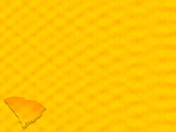 South Carolina Title Content PowerPoint Template