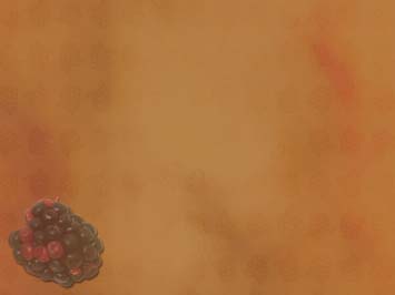 Blackberries Title Content PowerPoint Template