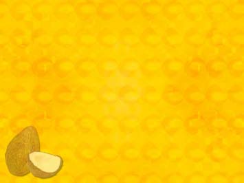 Coconut Title Content PowerPoint Template