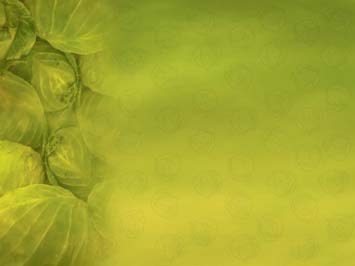 Cabbage Title Content PowerPoint Template