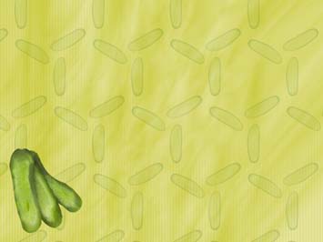 Cucumber Title Content PowerPoint Template